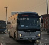 Camo Tour 956
