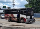 A.C. Transporte Campesino 28