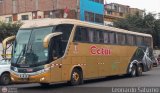 Cetur S.R.L. 958, por Leonardo Saturno