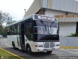 Colectivo Los Andes (Mrida - El Vigia) 14, por Andrs Figuera