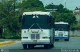 Coop. Transporte Menca de Leoni 010