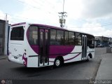 Particular 0001 Carrocera Alkon New City Hino FC4J