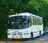 A.C. Mixta de Transporte Tchira Mrida R.L. 0006, por Leonardo Saturno