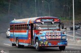 Transporte Palo Negro La Morita 2 095