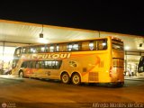 El Pulqui S.R.L. 011 Sudamericanas F50 DP Scania K420
