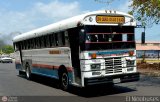 ZU - Colectivos Corazn de Jess 29, por El Niobuses