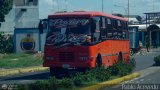 Los Rpidos S.C. 49