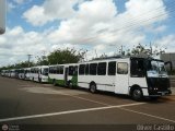 Garajes Paradas y Terminales Ciudad-Bolivar, por Oliver Castillo