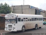 ZU - Ral Leoni 31