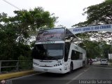 Expresos Flamingo 0541