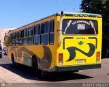 ZU - Colectivos Concepcin 036