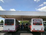 Cooperativa de Transporte El Nazareno 05, por Javier Parmalat 