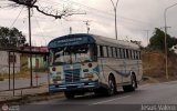 Transporte MaxiPollo