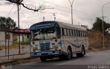 Transporte MaxiPollo 38