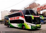 Grupo Perla del Sur S.A.C. (Per) 969
