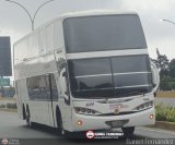 Ejecutivos Carla Tours 1019