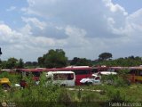 En Chiveras Abandonados Recuperacin 