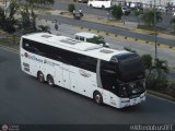 Expresos Occidente 316