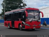 A.C. R�mulo Gallegos 52