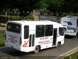 Uso Oficial 01 Sanchez Tati New Torpedo Chevrolet NPR Turbo Isuzu