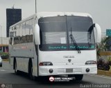 Servicios Especiales del Centro C.A. 31