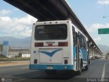 Sin identificacin o Desconocido 0559