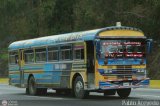 Transporte Colectivo Camag 10