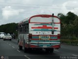 Autobuses de Tinaquillo 02, por Pablo Acevedo