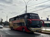 Transporte y Turismo Carlitos 966 por Leonardo Saturno