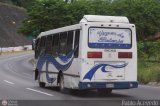 A.C. de Transporte Encarnacin 061