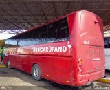 Bus Carpano 9963