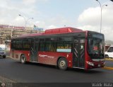 Uso Oficial  999, por Waldir Mata