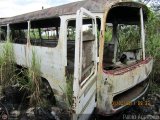 En Chiveras Abandonados Recuperacin 