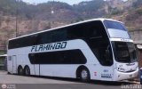 Expresos Flamingo 0018, por Bus Land