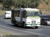 DC - Asoc. Conductores Criollos de La Pastora 002