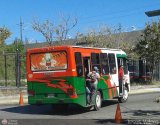 A.C. de Transporte La Raiza 113