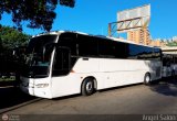 Servicios Especiales del Centro C.A. 65