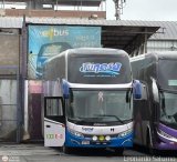 Tunesa Transportes (Per) 966, por Leonardo Saturno