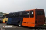 Transporte Unido (VAL - MCY - CCS - SFP) 043