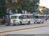 DC - Asoc. Conductores Criollos de La Pastora 039, por Edgardo Gonzlez