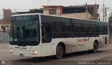 Camo Tour 765  Xiamen Golden Dragon XML6118  