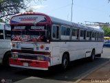 Expresos La Gran Colombia 28