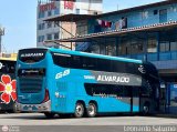 Turismo Alvarado (Per�) 227