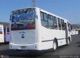 Transporte Virgen del Carmen 49