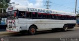 Particular Niobus