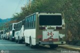 Ruta Metropolitana de Guarenas - Guatire 419
