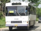 A.C. de Transporte La Raiza 032