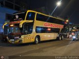 Empresa de Transporte Guadalupe Tours 950