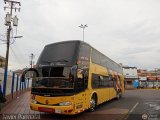 Expresos Los Llanos 523