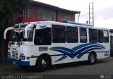 A.C. Transporte Paez 033